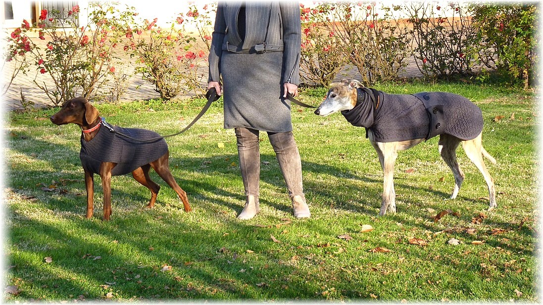 cappottini per cani in lana merino