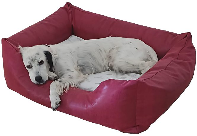 cuccia rettangolare ecopelle