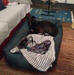 IMG_20211205_160702.jpg